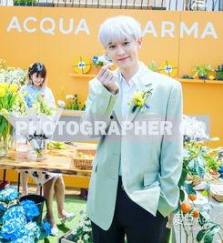 灿烈姐姐爆料了吗视频播放,揭秘娱乐圈幕后故事  第1张